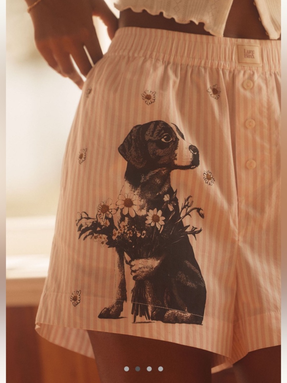 Anthropologie Pink Striped Floral Puppy Boxer Shorts